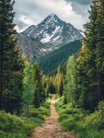 A dirt path leads to a mountain range with trees photo