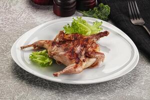 A plate with a chicken on it and a fork photo
