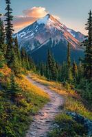 A trail leads to a mountain with trees and a sunset photo