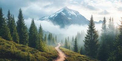 A dirt path leads to a mountain with trees and fog photo