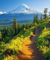 A trail leading to a mountain photo