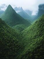 A view of a green forest with mountains in the background photo