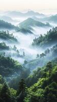 Misty mountain landscape with dense greenery and fog photo