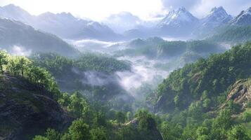 A beautiful mountain landscape with trees and fog photo