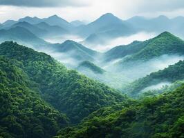 A view of the mountains covered in green vegetation photo