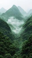 Lush green valley with misty mountains in the morning photo