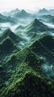 Lush green hills shrouded in mist at dawn photo