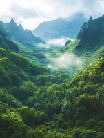 Lush green valley with misty mountains in a tropical landscape photo