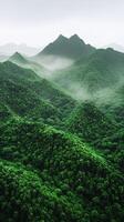 Lush green mountain landscape enveloped in misty fog photo