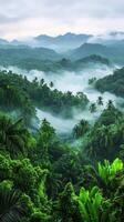 Vibrant green tropical forest with misty valley landscape photo