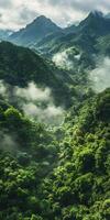 A green forest with mountains and clouds photo