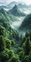 Lush green valley enveloped in morning mist and tranquility photo