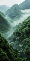 Lush green valley shrouded in mist during morning hours photo
