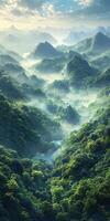 Misty forest landscape with rolling hills at dawn photo