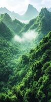 Misty mountain landscape filled with lush green vegetation photo