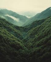 Misty mountains loom over a lush green valley photo