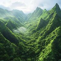 Lush green mountains under soft light in a vibrant valley photo