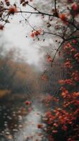 A spider web in the middle of a river photo