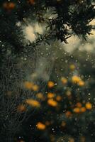 Spider web glistening with dew in a tranquil forest setting photo