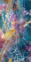 Dew-covered spiderweb glistening with colorful flowers photo