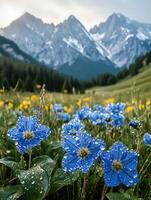 Majestic mountains and vibrant blue flowers in spring photo