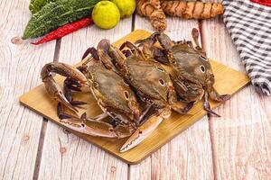 A wooden table with crabs and vegetables photo