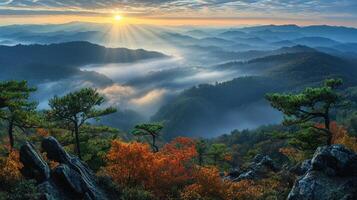 Sunrise over misty mountains with vibrant autumn foliage photo
