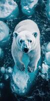A polar bear is standing on ice in the ocean photo
