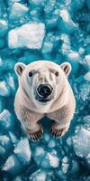 A polar bear standing on ice photo