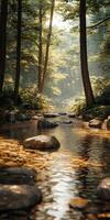 Serene forest stream with sunlight filtering through trees photo