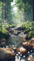 Serene forest stream flowing through mossy stones and greenery photo