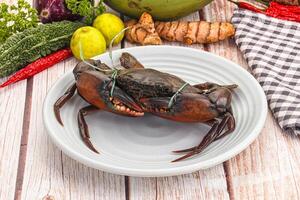 A crab on a plate with other vegetables and spices photo