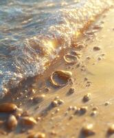 A beach with waves and shells on it photo