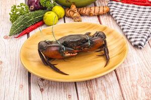A plate with a crab on it and some vegetables photo