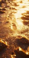 Sunset reflecting on wet sand at a serene beach location photo