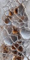A close up of a piece of ice with some water photo