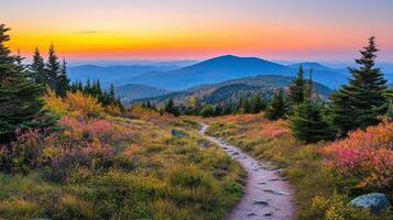 A trail leads to a mountain at sunset photo