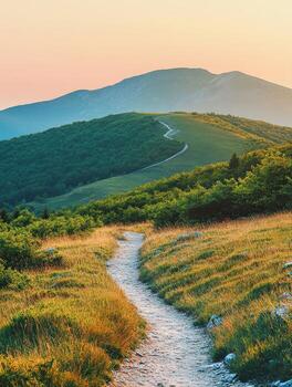 A dirt path winding through a grassy field photo