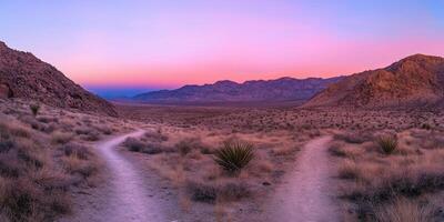 Scenic desert landscape at sunset with two diverging paths photo