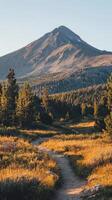Scenic mountain landscape with a winding path at sunset photo