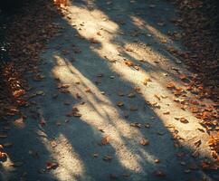 Autumn leaves cover a tranquil pathway in the forest photo