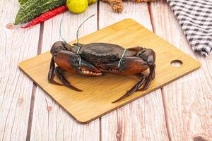 A crab on a cutting board with vegetables and spices photo