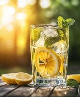 Refreshing lemonade with mint in a sunny garden setting photo