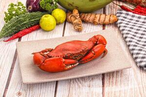 A plate of food on a table with a crab on it photo