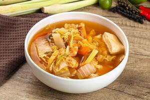 A bowl of soup with vegetables and meat in it photo