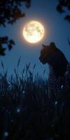 Leopard in the grass under a full moon at night photo