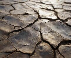 Cracked dry earth surface under sunlight in a barren landscape photo