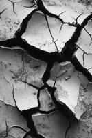 Cracked dry earth in a drought-affected area photo