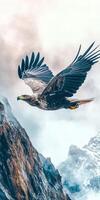 An eagle flying over a mountain range photo