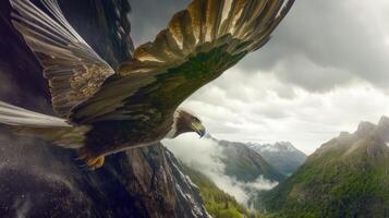 Eagle soaring over majestic mountains in dramatic weather photo